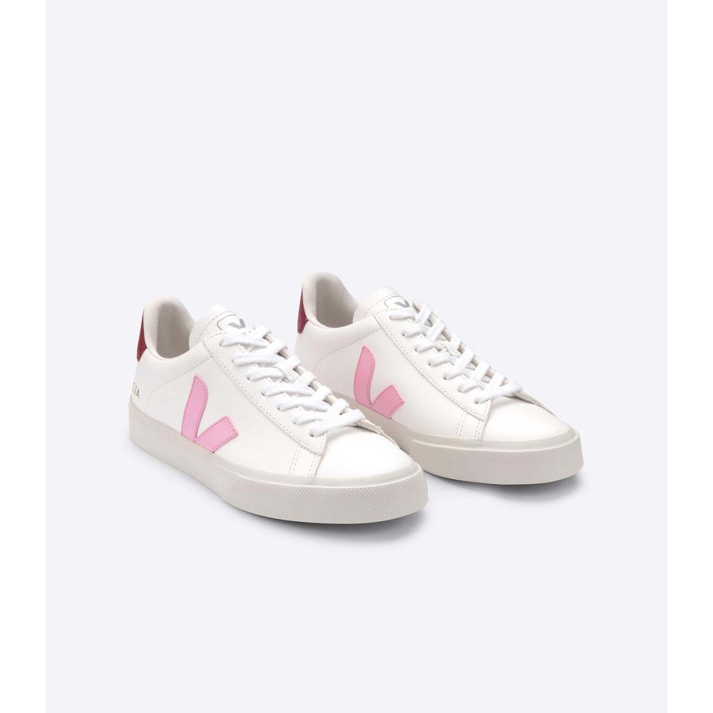 Veja CAMPO CHROMEFREE Men's Low Tops Sneakers White/Pink | NZ 293YXF